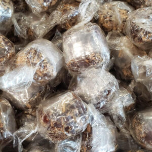 6048 Liquorice Ginger Apricots Candy 甘草烏梅薑糖