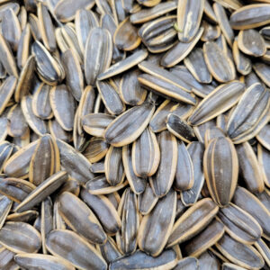 4007 阿薩姆紅茶葵瓜子 Red Tea Sunflower Seeds-Hạt Hướng Dương